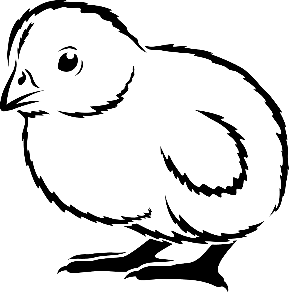 Baby Chicken Coloring Page Md Coloring Page — Free Printable — free printable coloring page