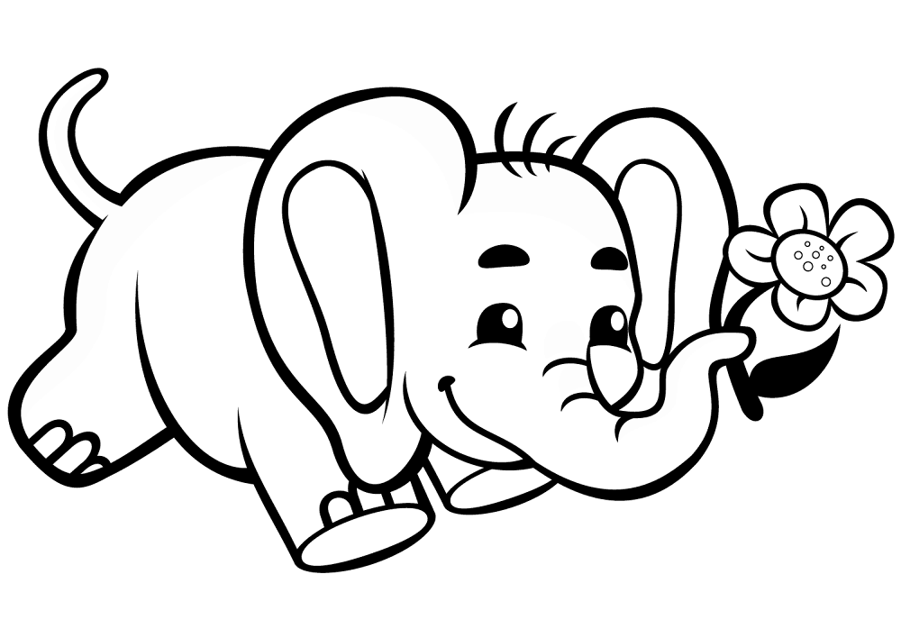 Cute Baby Elephant With Flower Coloring Page Md Coloring Page — Free Printable — free printable coloring page