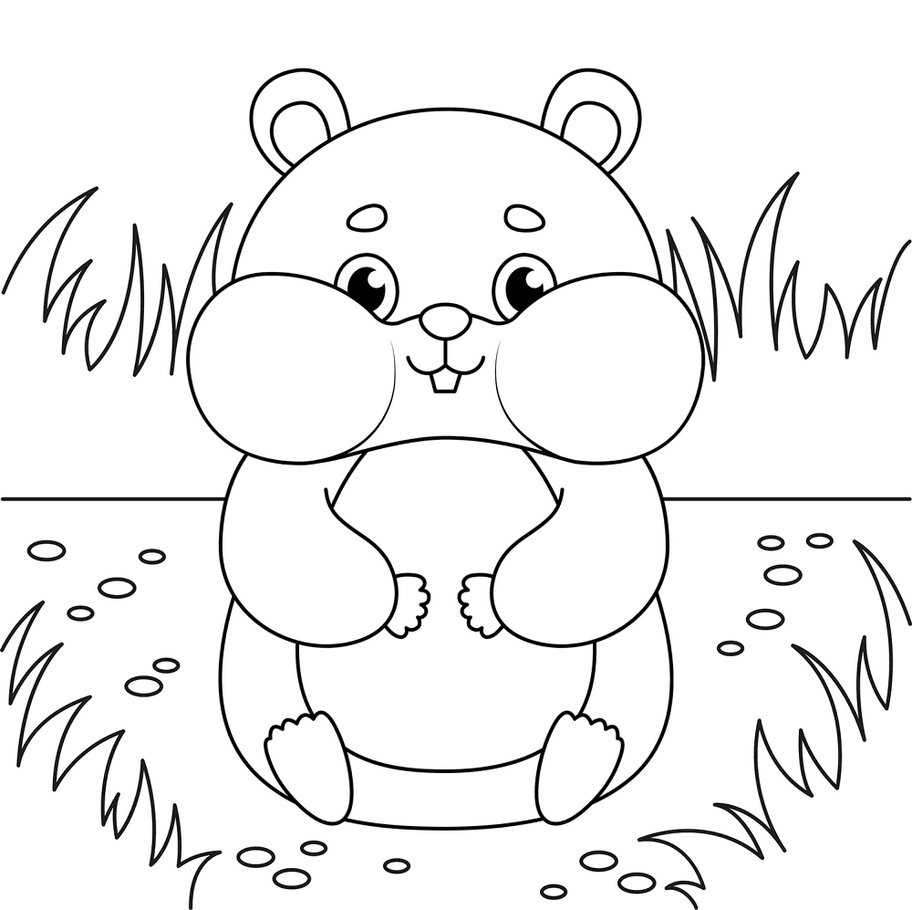 Cute Hamster 2 Coloring Page Md Coloring Page — Free Printable — free printable coloring page
