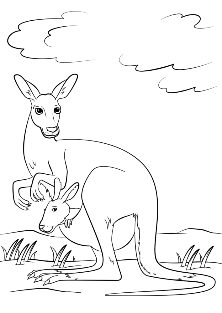 Cute Kangaroo With Baby In Pouch Coloring Page Md Coloring Page — Free Printable — free printable coloring page