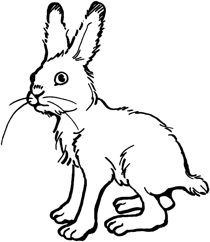 Hare 2 Coloring Page Md Coloring Page — Free Printable — free printable coloring page