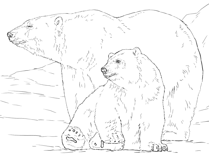 Polar Bear With Baby Coloring Page Md Coloring Page — Free Printable — free printable coloring page