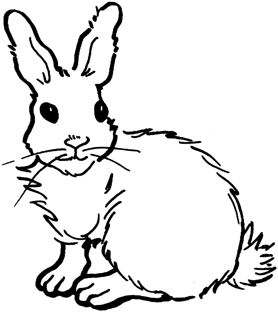 Rabbit 18 Coloring Page Md Coloring Page — Free Printable — free printable coloring page