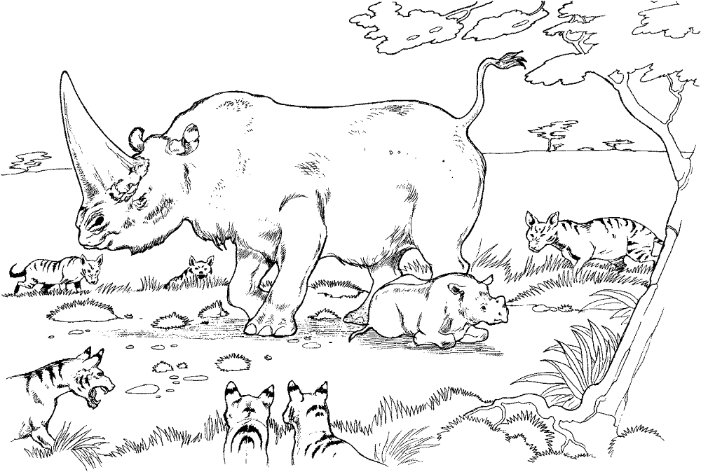 Rhinoceros 19 Coloring Page Md Coloring Page — Free Printable — free printable coloring page