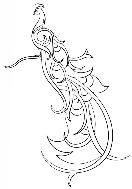 Abstract Peacock 2 Coloring Page Md Coloring Page — Free Printable — free printable coloring page