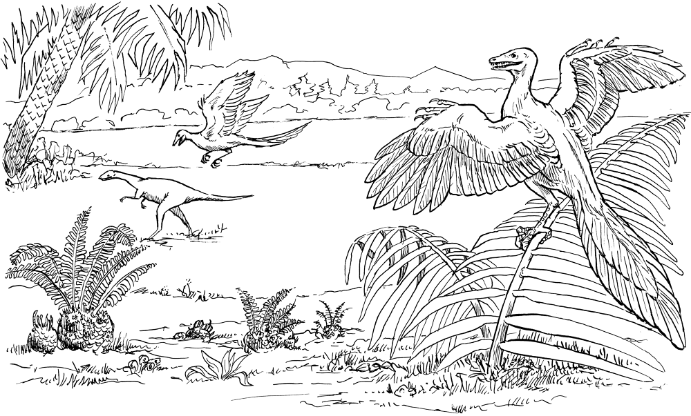 Archaeopteryx And Compsognathus Coloring Page Md Coloring Page — Free Printable — free printable coloring page