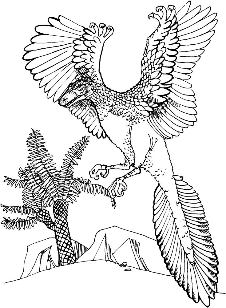 Archaeopteryx Jurassic Bird Coloring Page Md Coloring Page — Free Printable — free printable coloring page