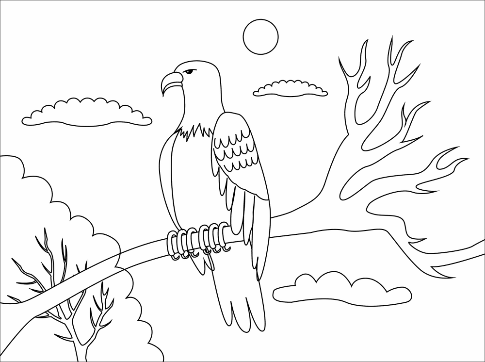 Bald Eagle Coloring Page Md Coloring Page — Free Printable — free printable coloring page