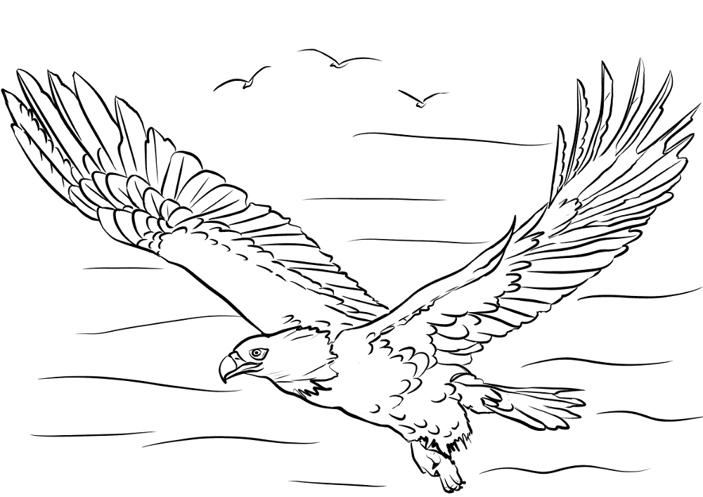 Bald Eagle Flying Coloring Page Md Coloring Page — Free Printable — free printable coloring page