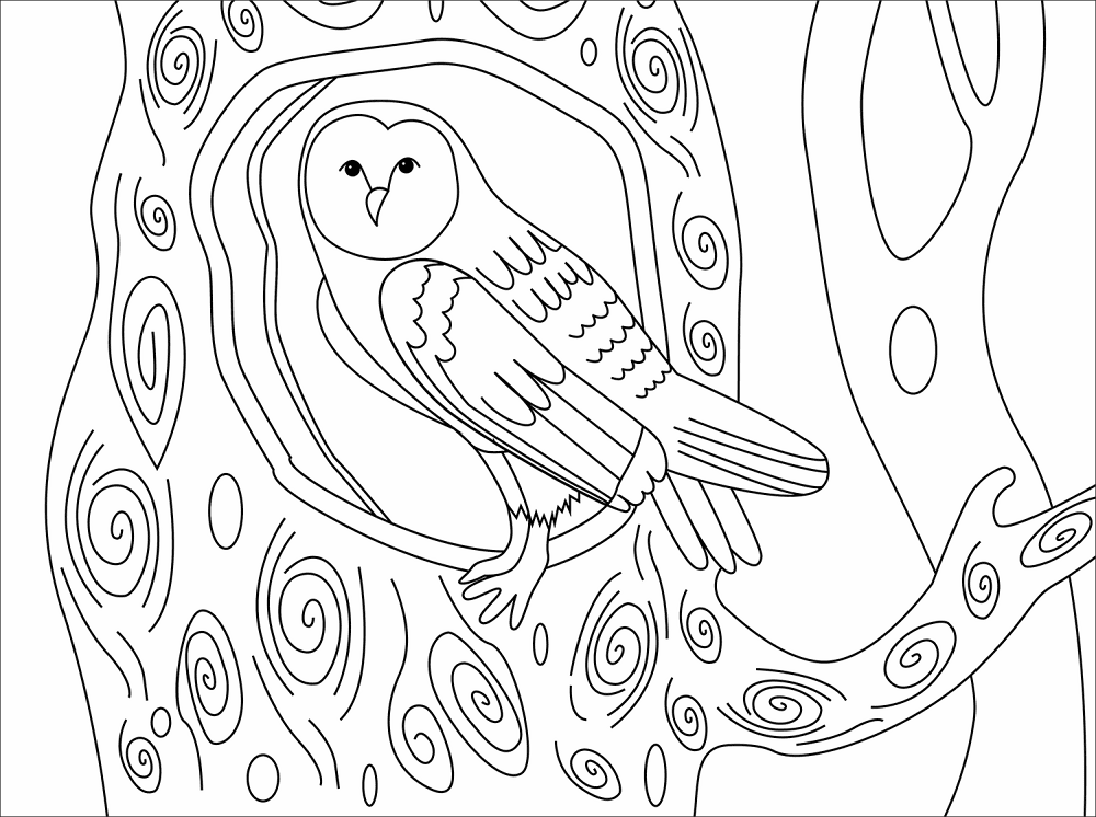 Barn Owl Coloring Page Md Coloring Page — Free Printable — free printable coloring page