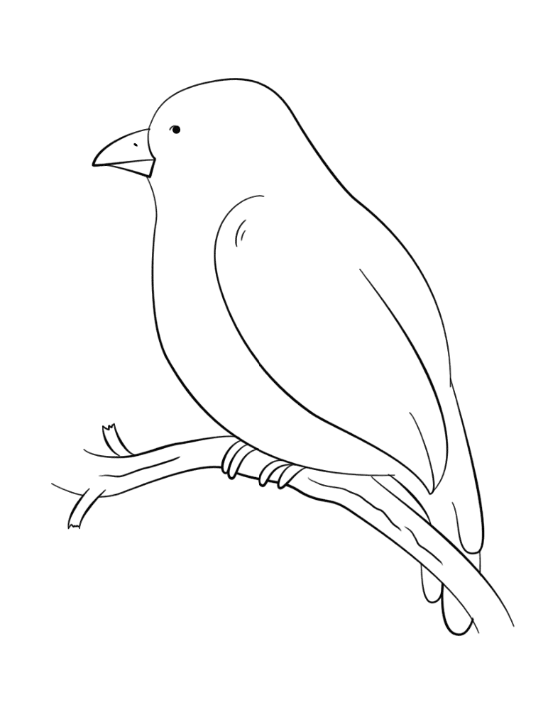 Bird Perching On A Tree Branch Coloring Page Md Coloring Page — Free Printable — free printable coloring page