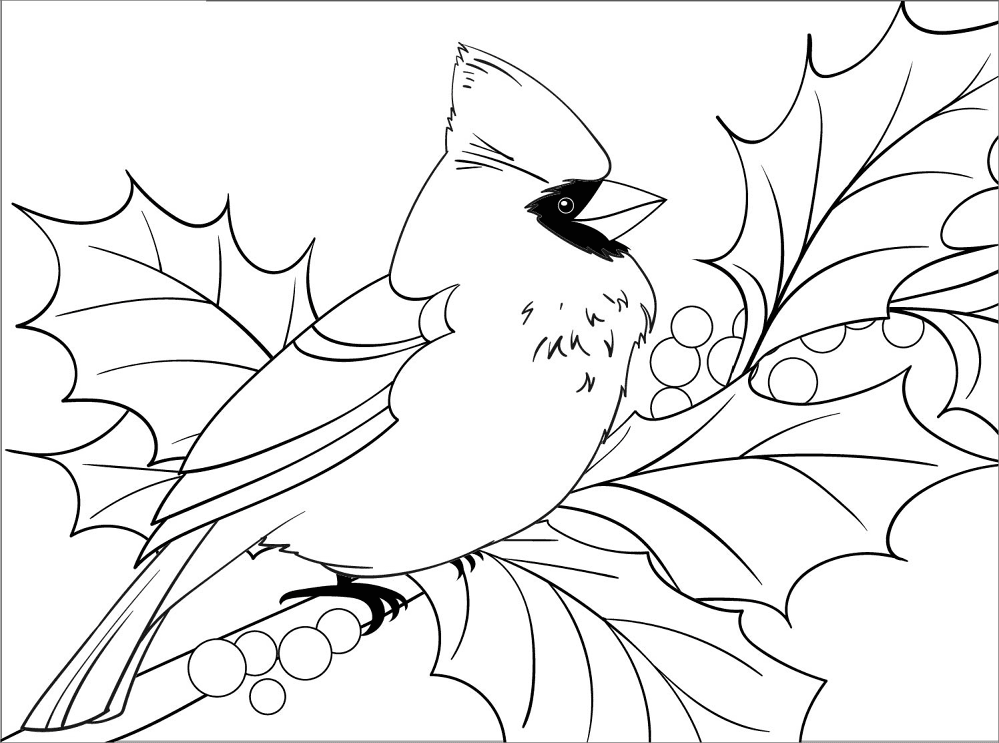 Cardinal Coloring Page Md Coloring Page — Free Printable — free printable coloring page
