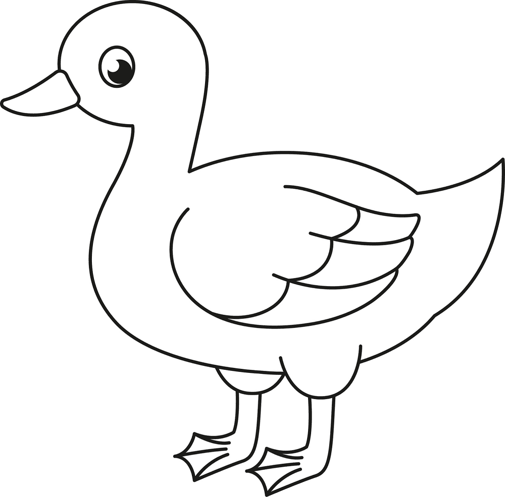 Cute Duck Coloring Page Md Coloring Page — Free Printable — free printable coloring page