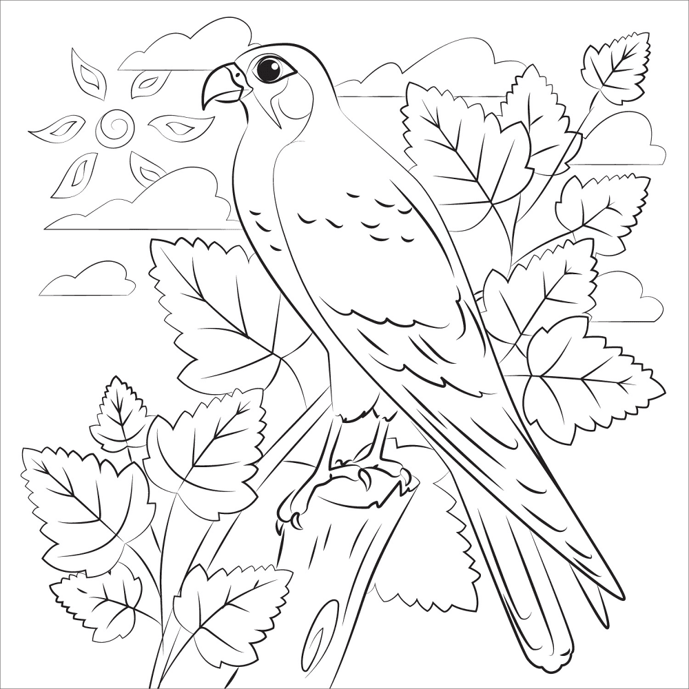 Falcon Coloring Page Md Coloring Page — Free Printable — free printable coloring page