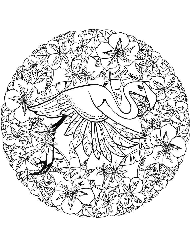 Flamingo Mandala Coloring Page Md Coloring Page — Free Printable — free printable coloring page