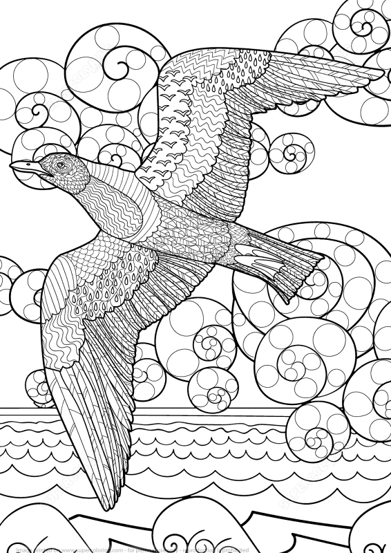 Flying Seagull And Ocean Zentangle Coloring Page Md Coloring Page — Free Printable — free printable coloring page
