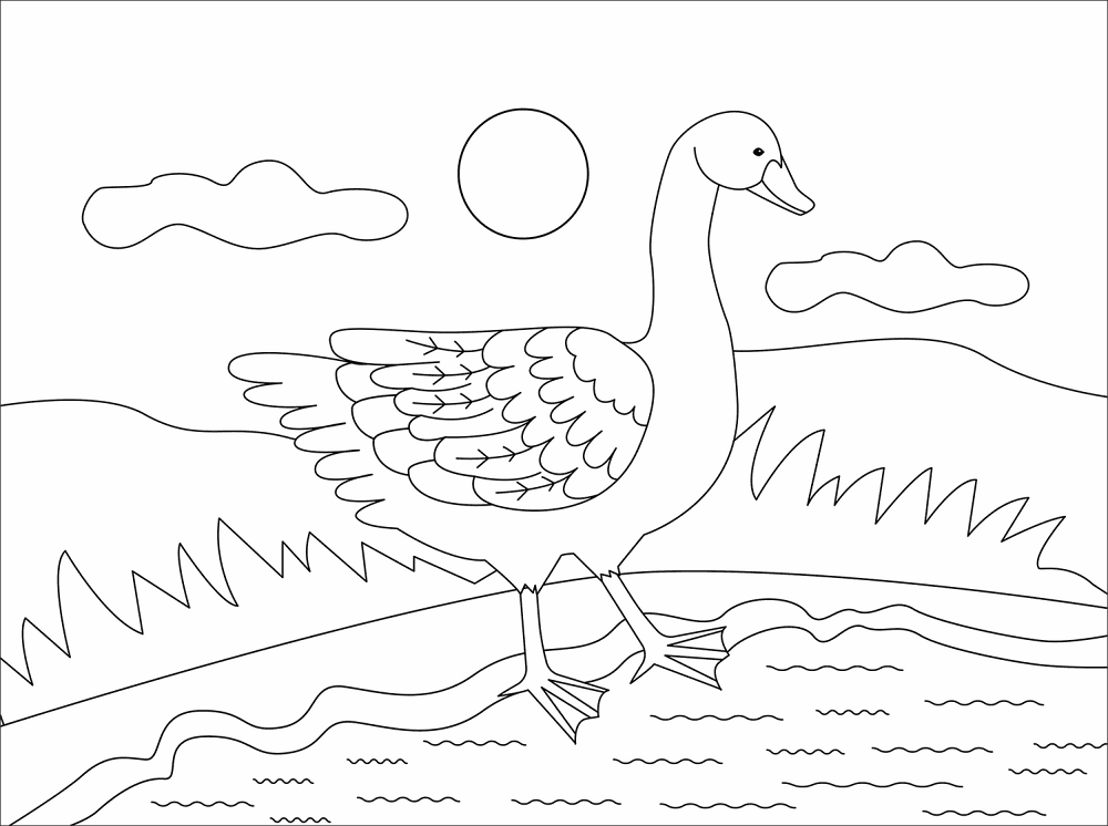 Goose Coloring Page Md Coloring Page — Free Printable — free printable coloring page