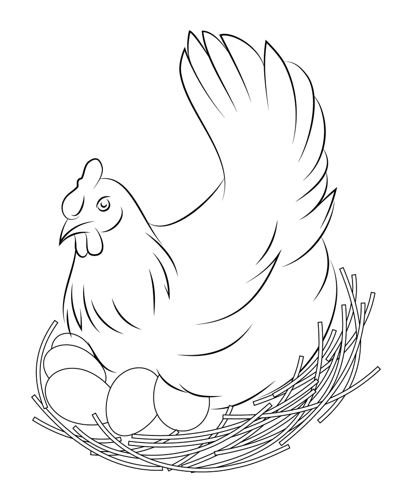 Hen Sits On Eggs Coloring Page Md Coloring Page — Free Printable — free printable coloring page