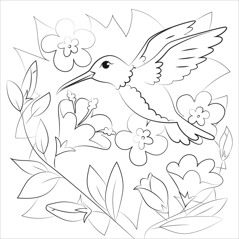 Hummingbird Coloring Page Md Coloring Page — Free Printable — free printable coloring page