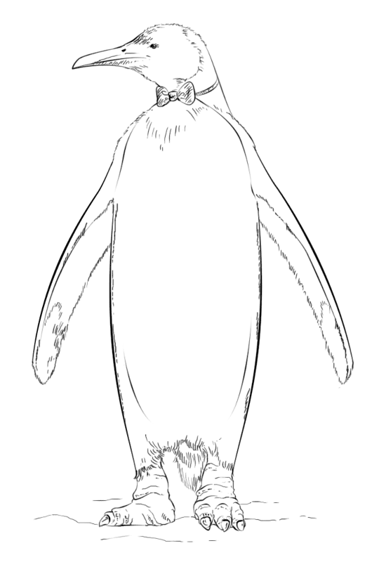 King Penguin Coloring Page Md Coloring Page — Free Printable — free printable coloring page