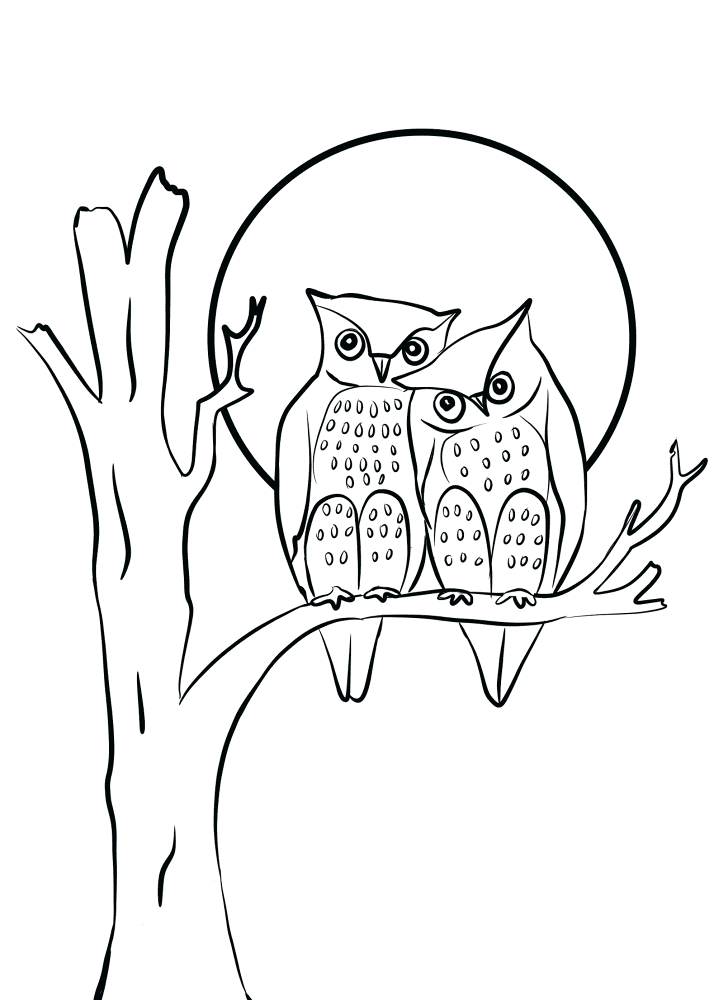 Owls Couple In Love Coloring Page Md Coloring Page — Free Printable — free printable coloring page
