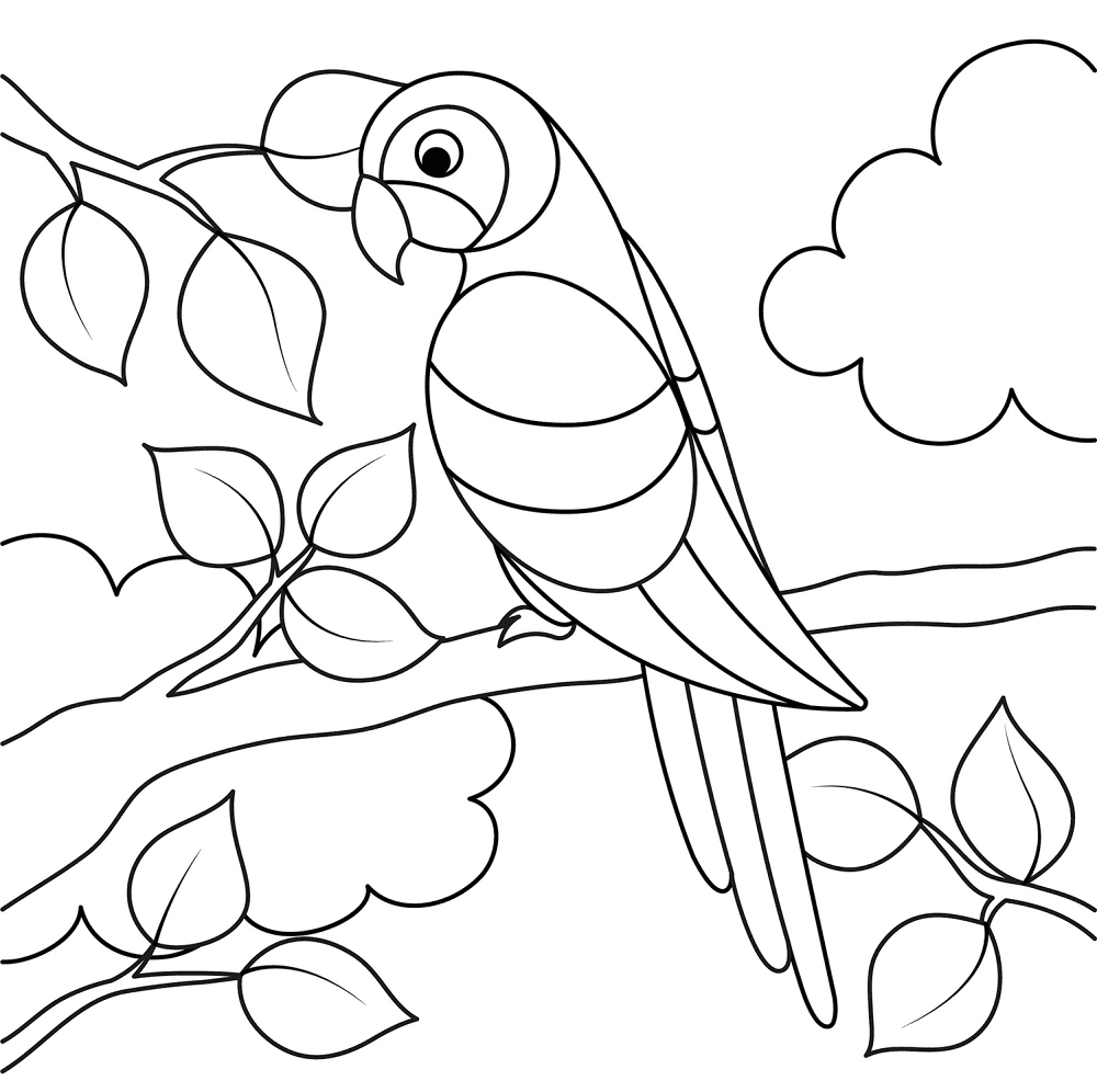 Parrot 2 Coloring Page Md Coloring Page — Free Printable — free printable coloring page