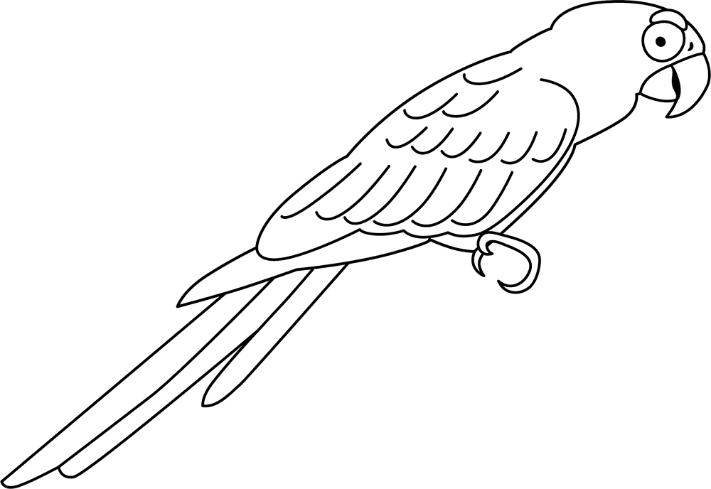 Parrot Coloring Page Md Coloring Page — Free Printable — free printable coloring page