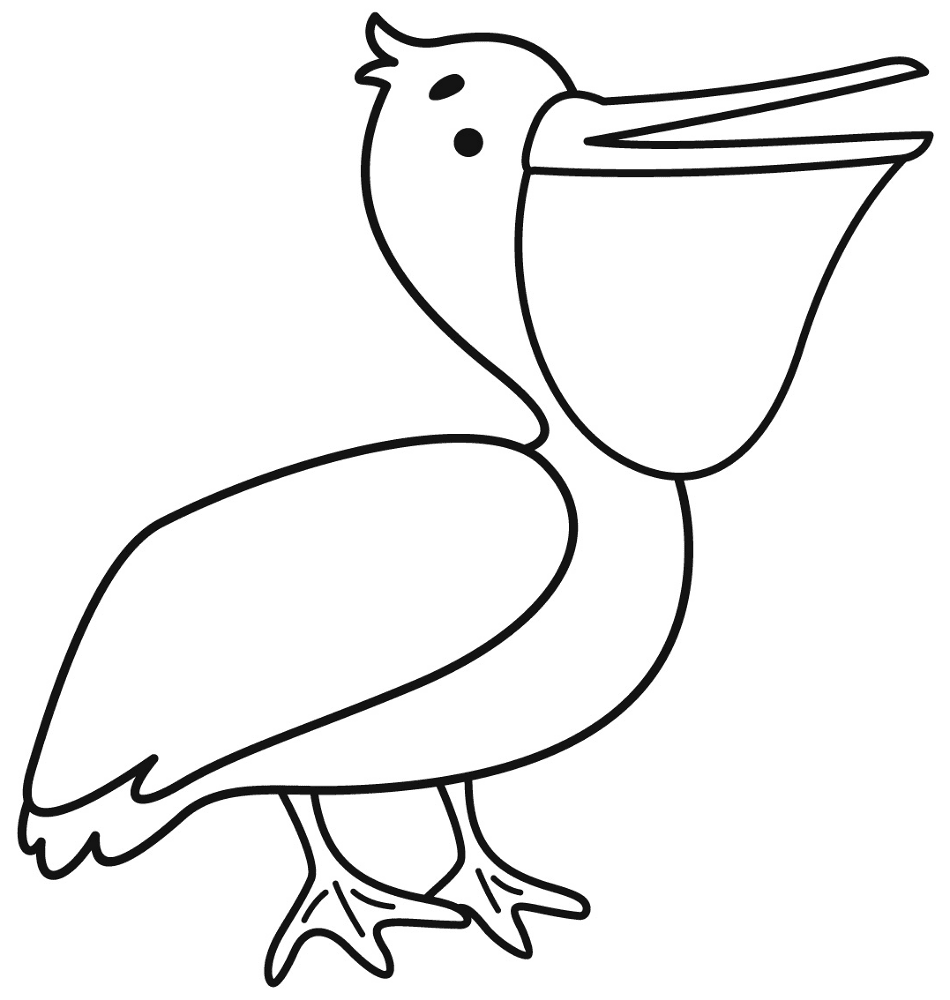 Pelican Coloring Page Md Coloring Page — Free Printable — free printable coloring page