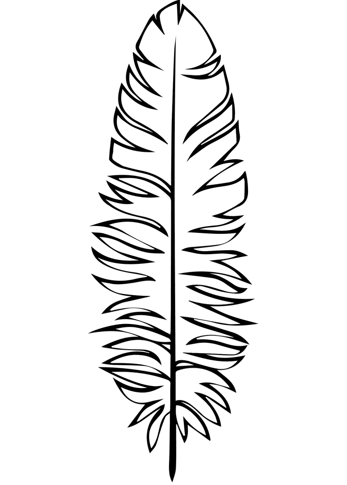 Semiplume Feather Coloring Page Md Coloring Page — Free Printable — free printable coloring page