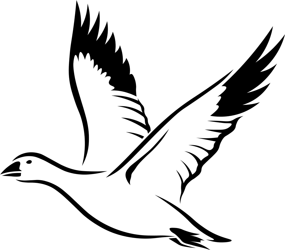 Snow Goose Coloring Page Md Coloring Page — Free Printable — free printable coloring page
