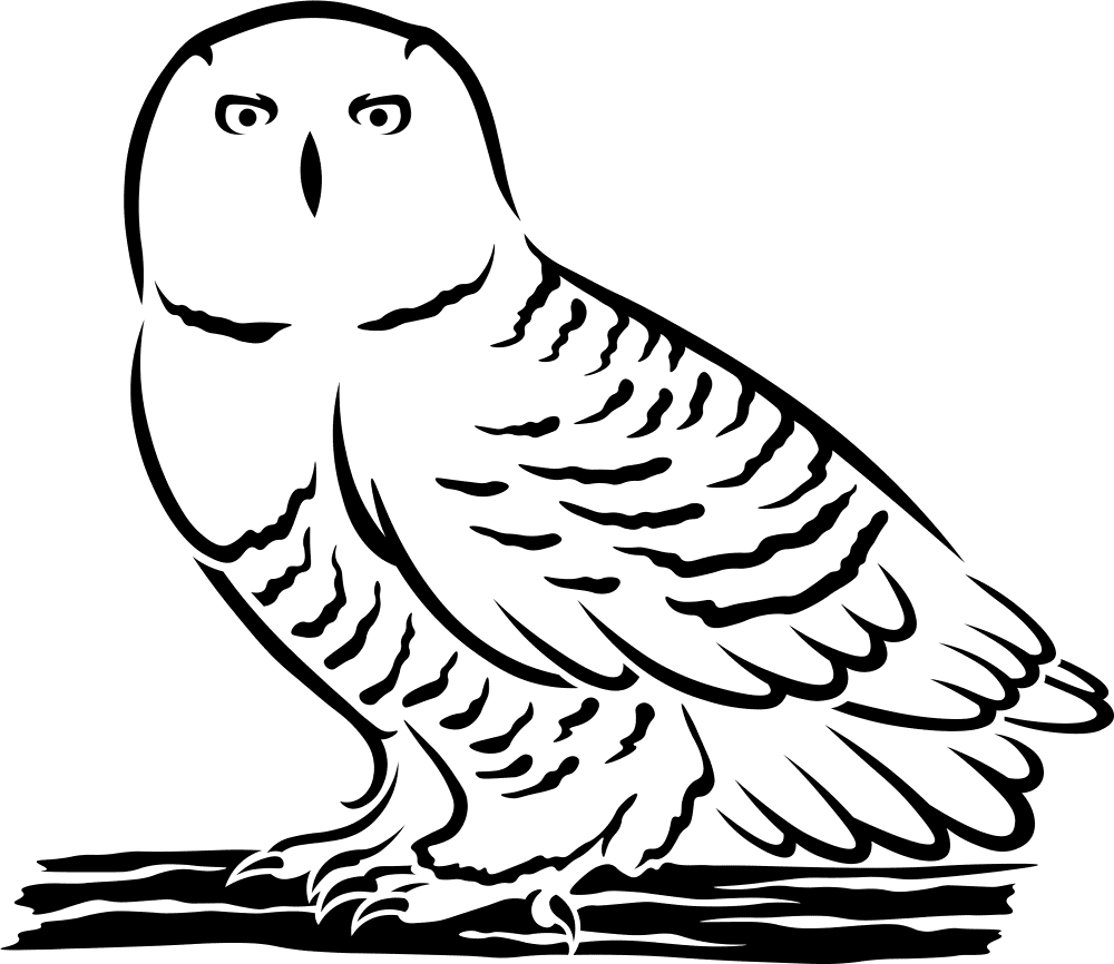Snowy Owl Coloring Page Md Coloring Page — Free Printable — free printable coloring page