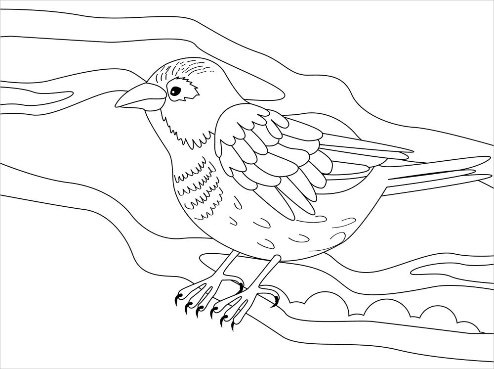 Sparrow Coloring Page Md Coloring Page — Free Printable — free printable coloring page