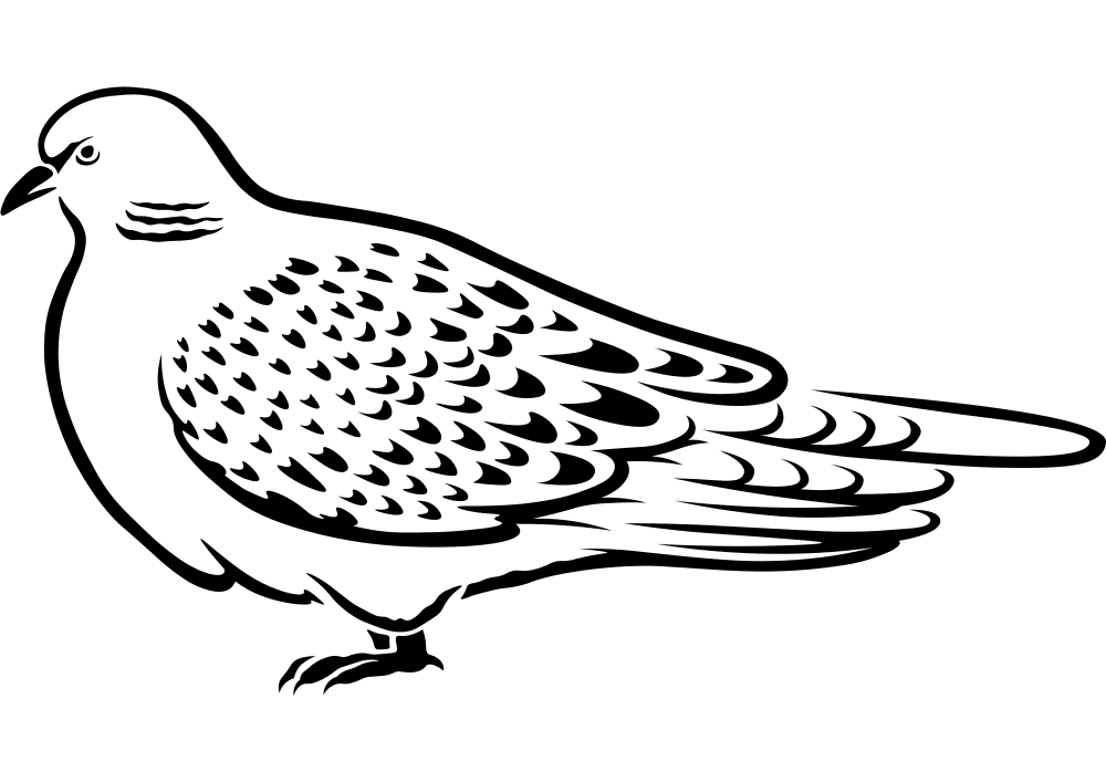 Turtle Dove Coloring Page Md Coloring Page — Free Printable — free printable coloring page