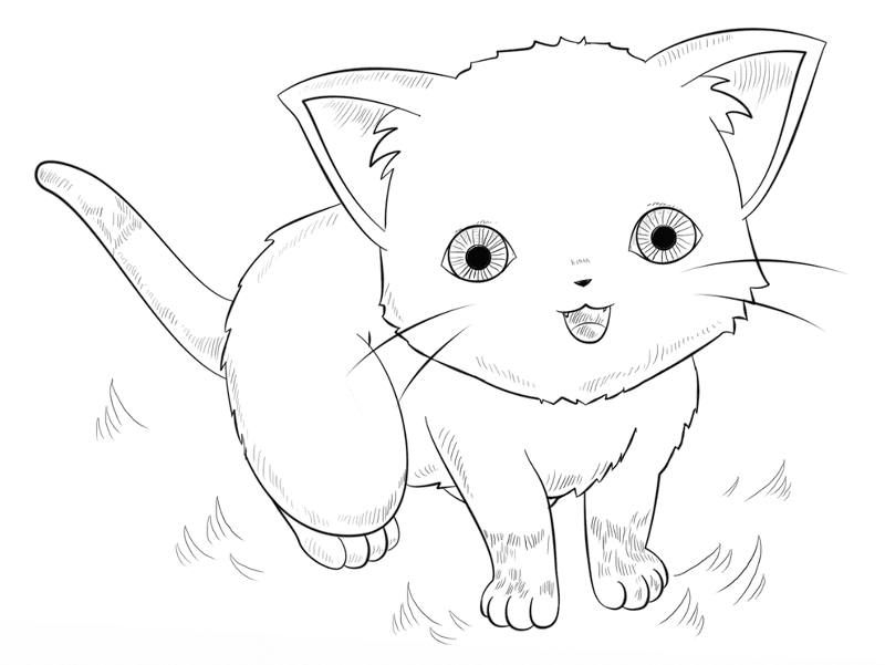 Anime Cat Coloring Page Md Coloring Page — Free Printable — free printable coloring page
