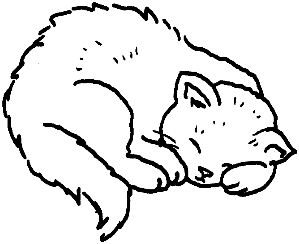 Cat 13 Coloring Page Md Coloring Page — Free Printable — free printable coloring page