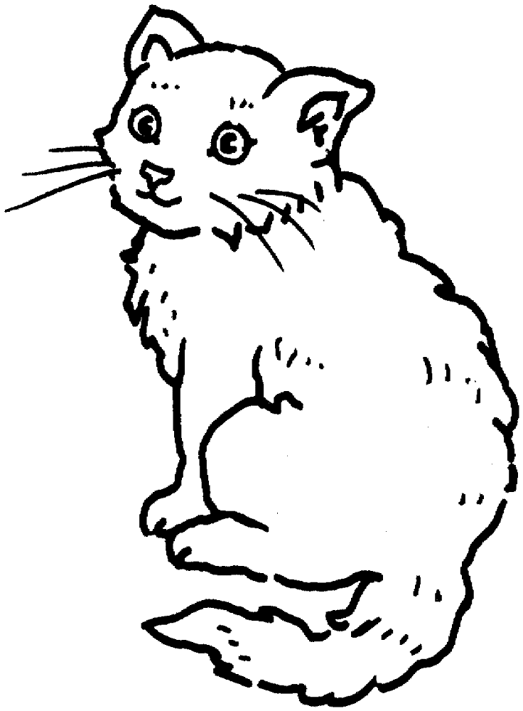 Cat 14 Coloring Page Md Coloring Page — Free Printable — free printable coloring page