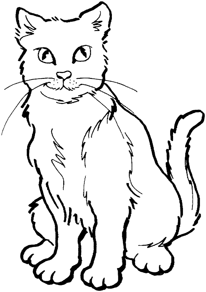 Cat 19 Coloring Page Md Coloring Page — Free Printable — free printable coloring page