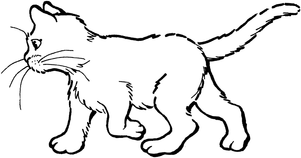 Cat 20 Coloring Page Md Coloring Page — Free Printable — free printable coloring page