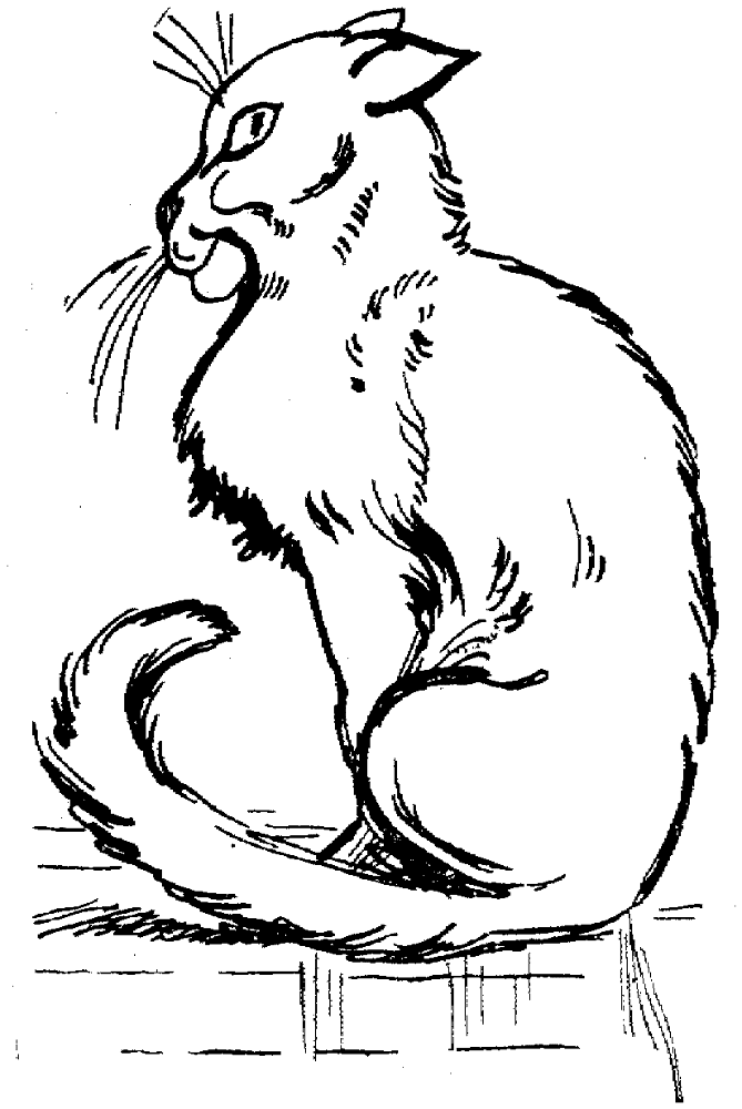 Cat 24 Coloring Page Md Coloring Page — Free Printable — free printable coloring page