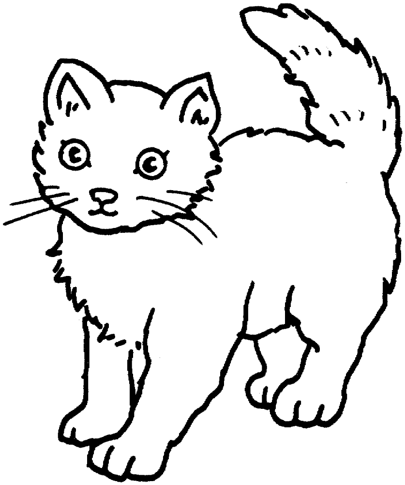 Cat 25 Coloring Page Md Coloring Page — Free Printable — free printable coloring page