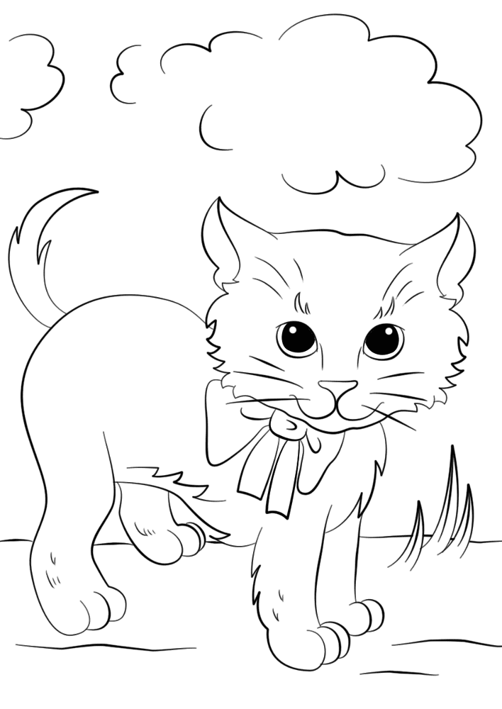 Cute Kitten With Bow Tie Coloring Page Md Coloring Page — Free Printable — free printable coloring page