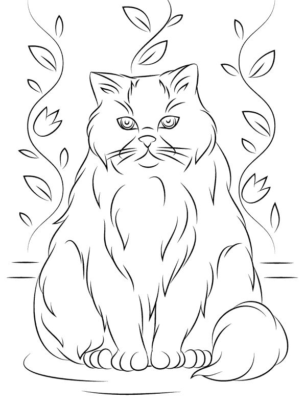 Himalayan Cat Coloring Page Md Coloring Page — Free Printable — free printable coloring page