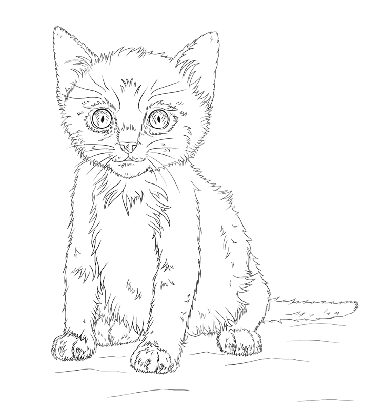 Kitten Coloring Page Md Coloring Page — Free Printable — free printable coloring page