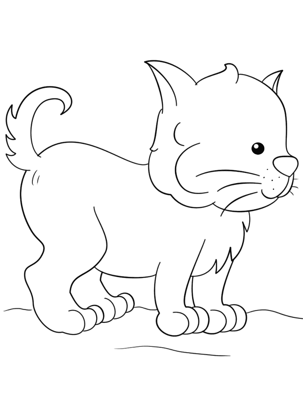Lovely Kitten Coloring Page Md Coloring Page — Free Printable — free printable coloring page
