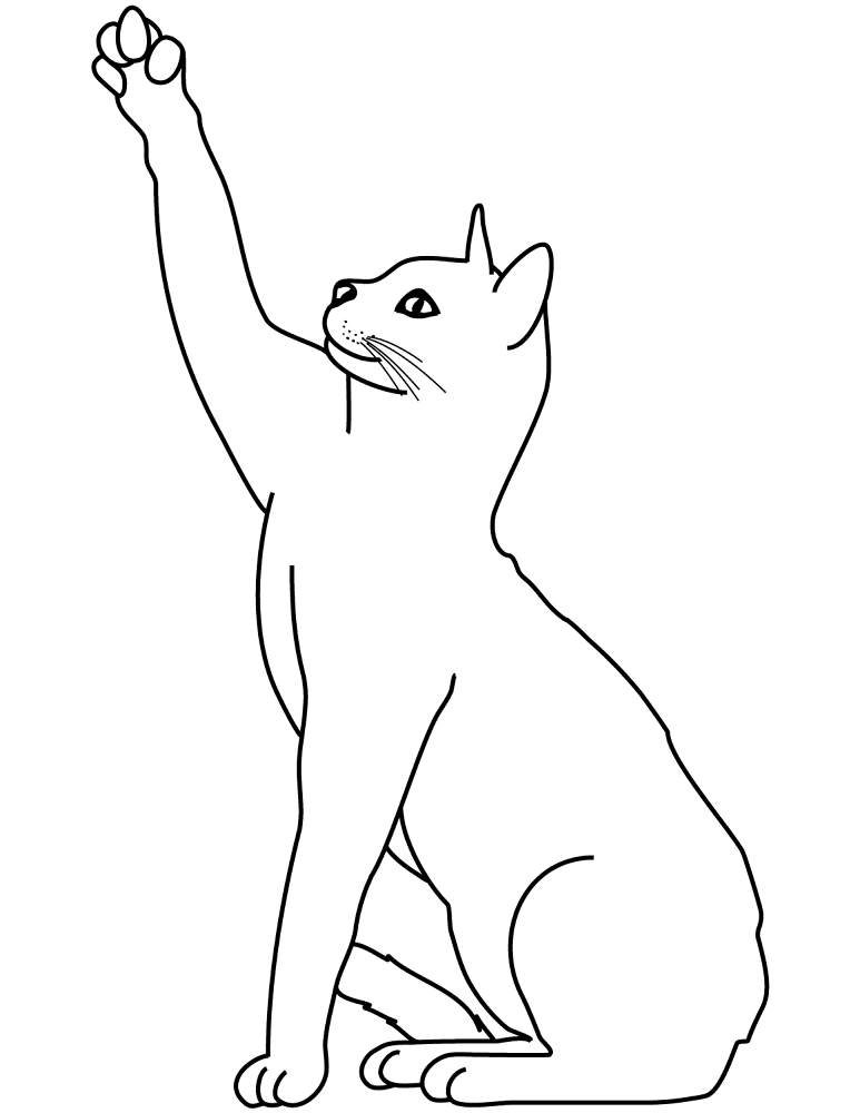 Playing Cat Coloring Page Md Coloring Page — Free Printable — free printable coloring page