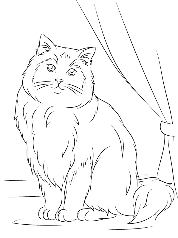 Ragdoll Cat Coloring Page Md Coloring Page — Free Printable — free printable coloring page