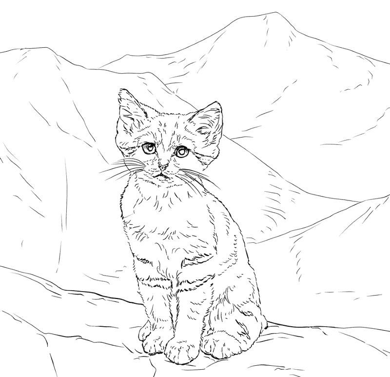 Sand Cat Kittens Coloring Page Md Coloring Page — Free Printable — free printable coloring page