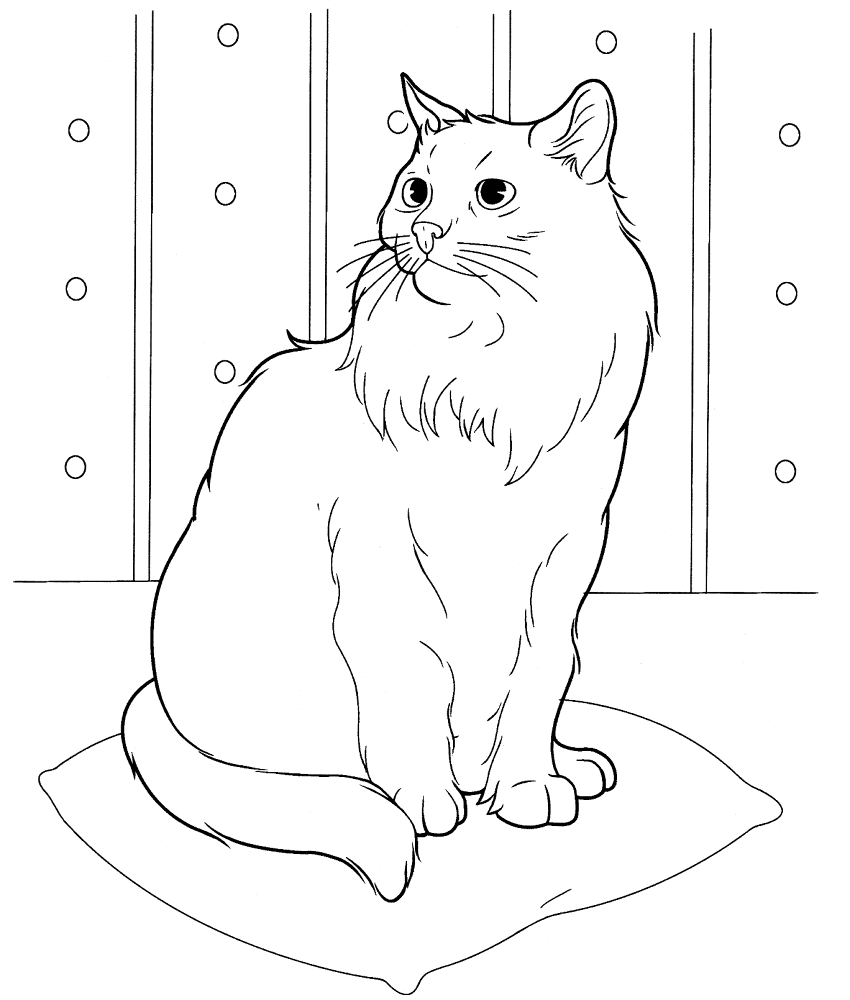 Siberian Cat Coloring Page Md Coloring Page — Free Printable — free printable coloring page