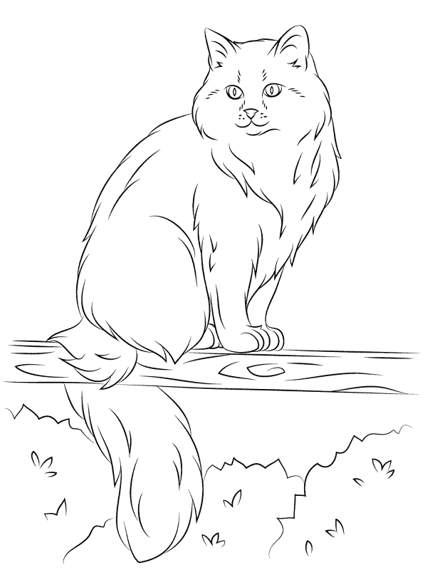 Siberian Cat Sits On A Tree Coloring Page Md Coloring Page — Free Printable — free printable coloring page