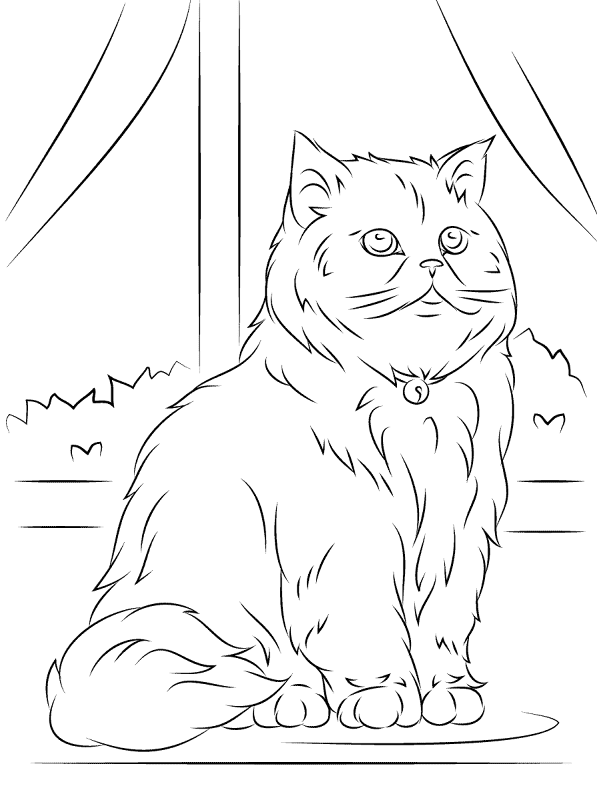 Sitting Persian Cat Coloring Page Md Coloring Page — Free Printable — free printable coloring page